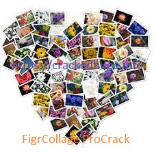 FigrCollage Pro 3.3.6.0 Crack