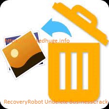 RecoveryRobot Undelete Business 1.3.3 Crack