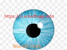 Blue Iris 5.6.2.8 Crack