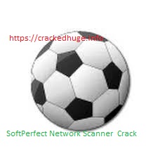 SoftPerfect Network Scanner 8.1.4 Crack