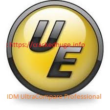 IDM UltraCompare Professional v22.20.0.26 Crack